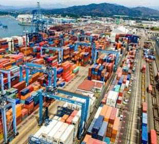 Puerto de Manzanillo: SSA México alcanza las 50 grúas E-RTG con la incorporación de dos nuevos equipos