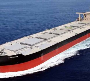 ¿Qué estrategias tuvieron mayor éxito en el transporte marítimo de graneles sólidos?