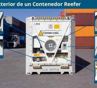 Celebran 25 años de evolución del contenedor refrigerado, pilar del transporte marítimo