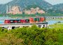 Puerto de Manzanillo, México: Ferromex busca captar a fines de 2021 el 45% de la movilización de contenedores