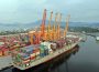 Alza en fletes marítimos afecta comercio exterior de Jalisco